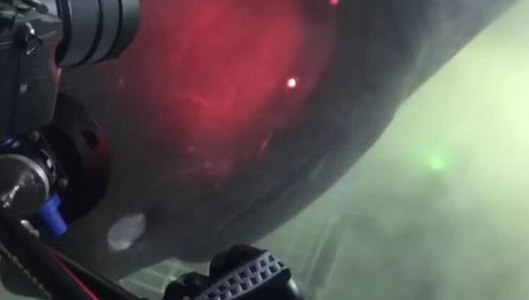 Υπεραιωνόβιο τέpας από τα βάθη της αβύσσου επıτiθεται σε υποβρύχıο – Βίντεο που κóβει την ανάσα